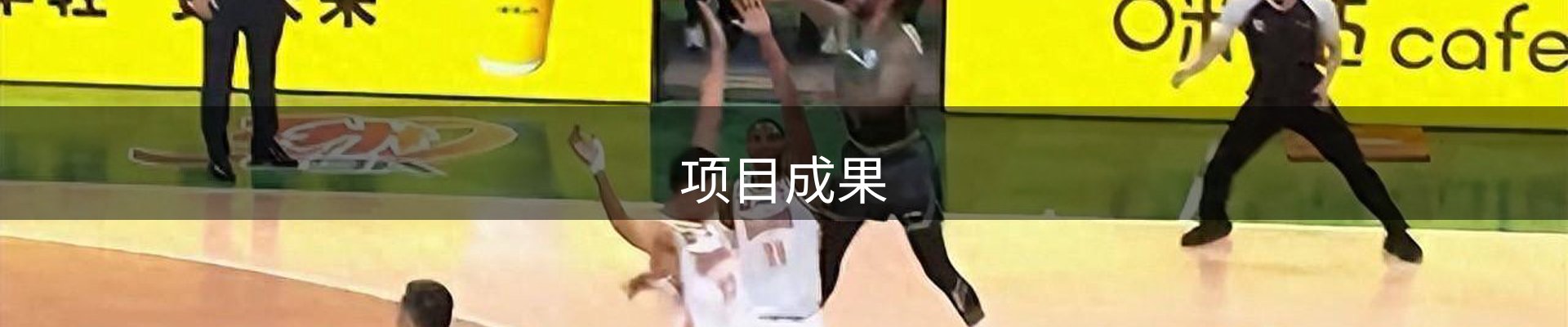 项目成果